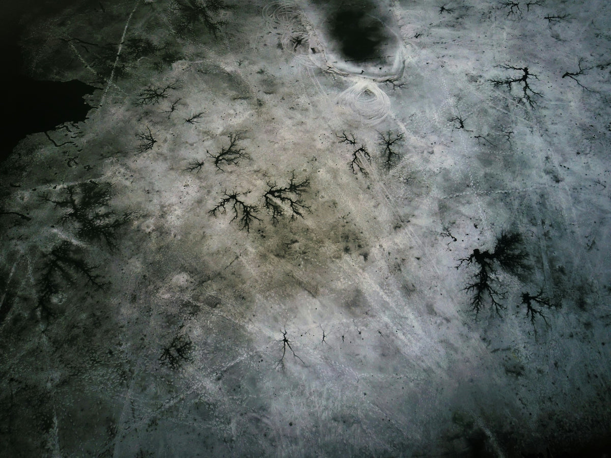 At What Temperature Does Salt Stop Melting Ice Jennychem JENNYCHEM at-what-temperature-does-salt-stop-melting-ice-jennychem-jennychem