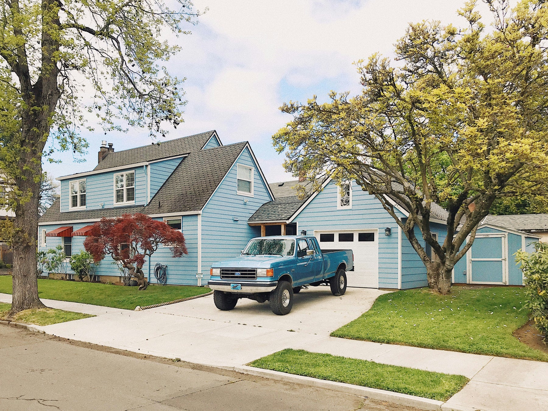 What is the Best Weed Killer for Driveways in the UK?